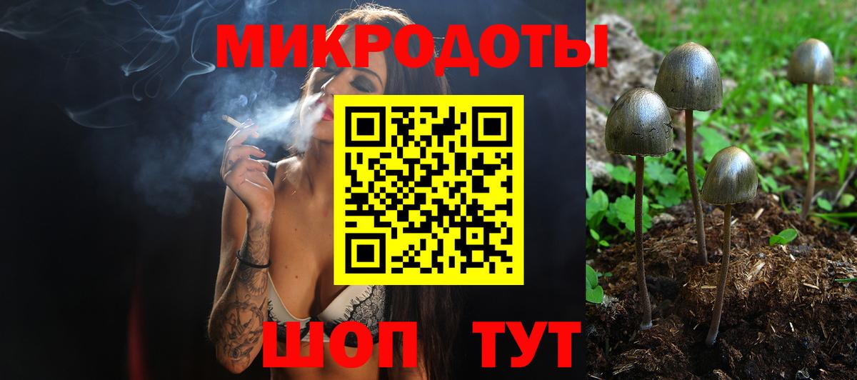 Псилоцибиновые грибы Magic Shrooms  Вход с VPN  Кизляр  Псилоцибиновые грибы прущие грибы 